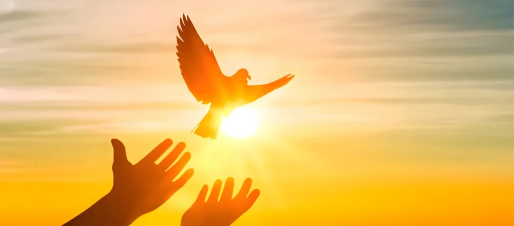 LET GO IN ORDER TO GROW