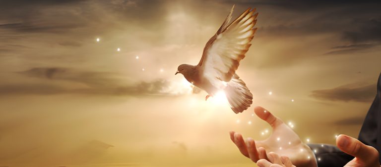 SECERDIK ULAR, SETULUS MERPATI